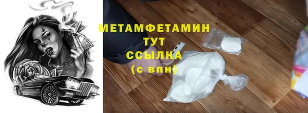 прущие грибы Бородино