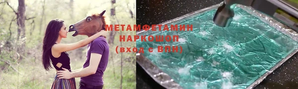 прущие грибы Бородино