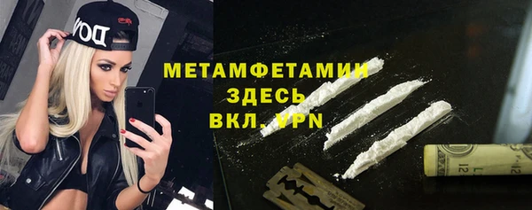 прущие грибы Бородино