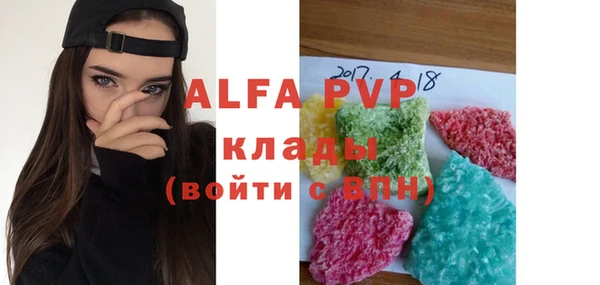 прущие грибы Бородино