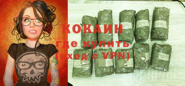 прущие грибы Бородино