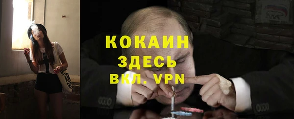 прущие грибы Бородино