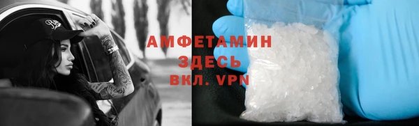 прущие грибы Бородино