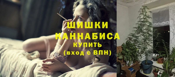 прущие грибы Бородино