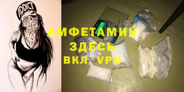 прущие грибы Бородино