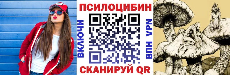 Псилоцибиновые грибы Psilocybe  Весьегонск 